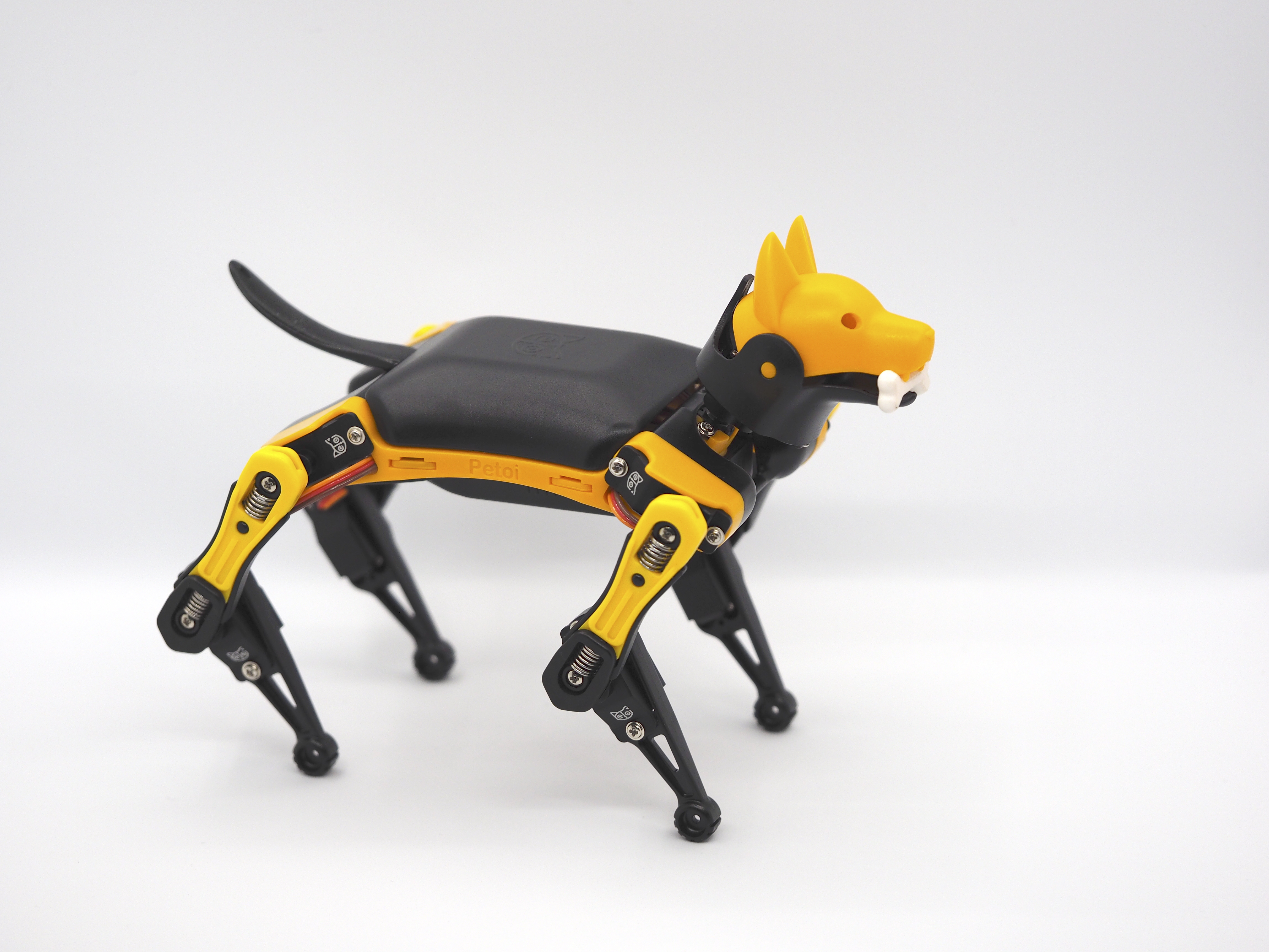 dog_stand-2