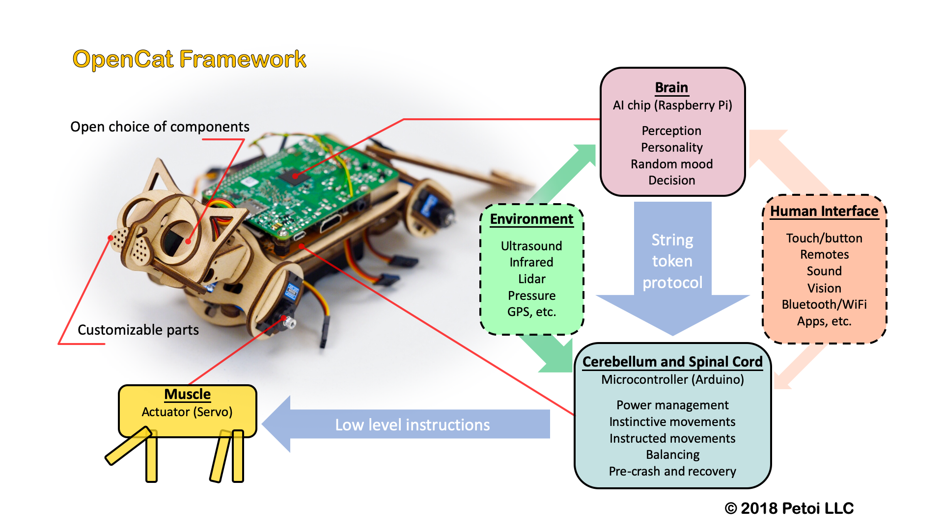 opencat_fw_summary